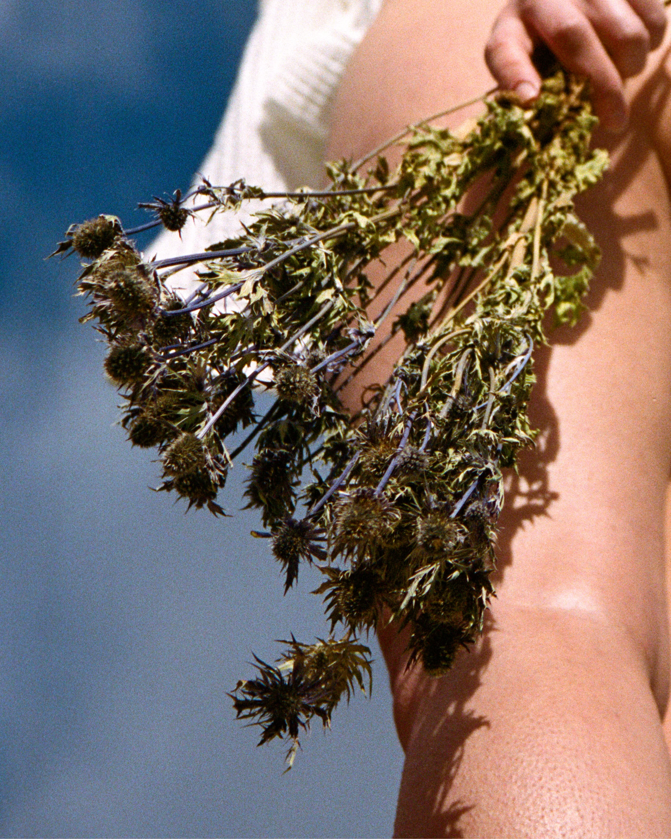 290 Firming Body Serum - Image 5
